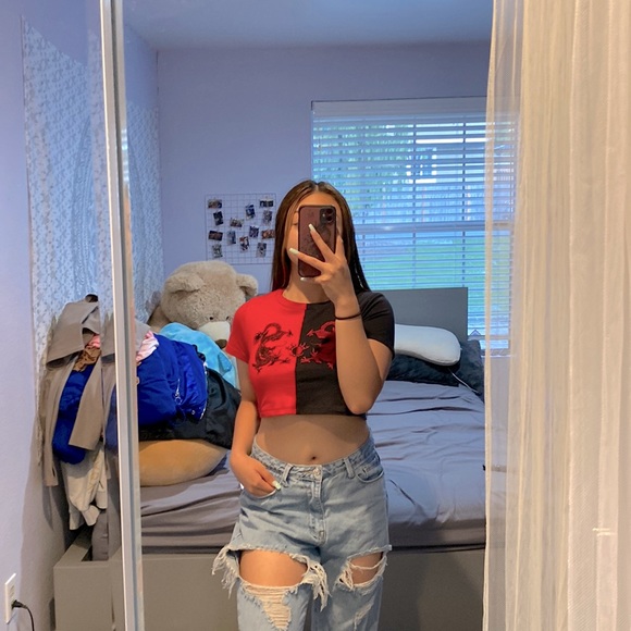 Color Block Dragon Top - Picture 1 of 4